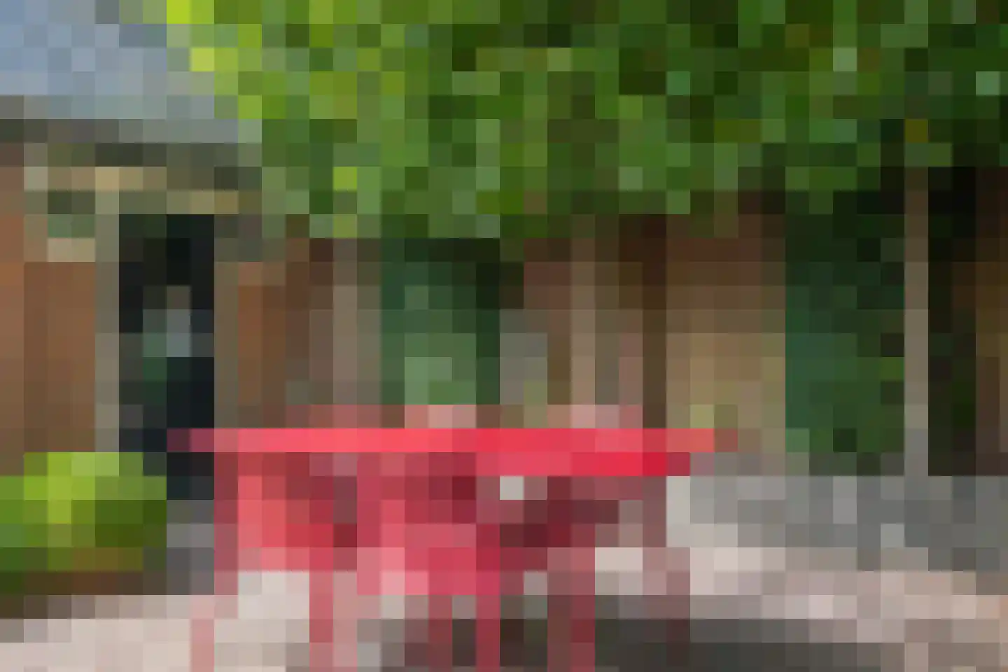 Broekweg 130 Lisse thumbnail 28