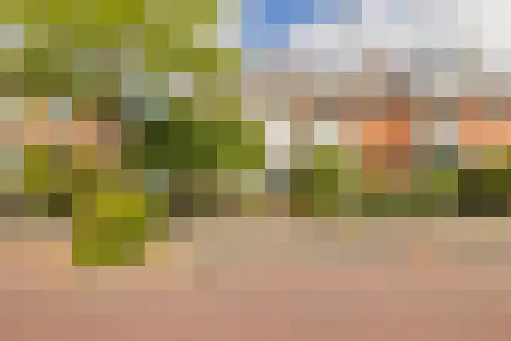 Broekweg 130 Lisse thumbnail 41