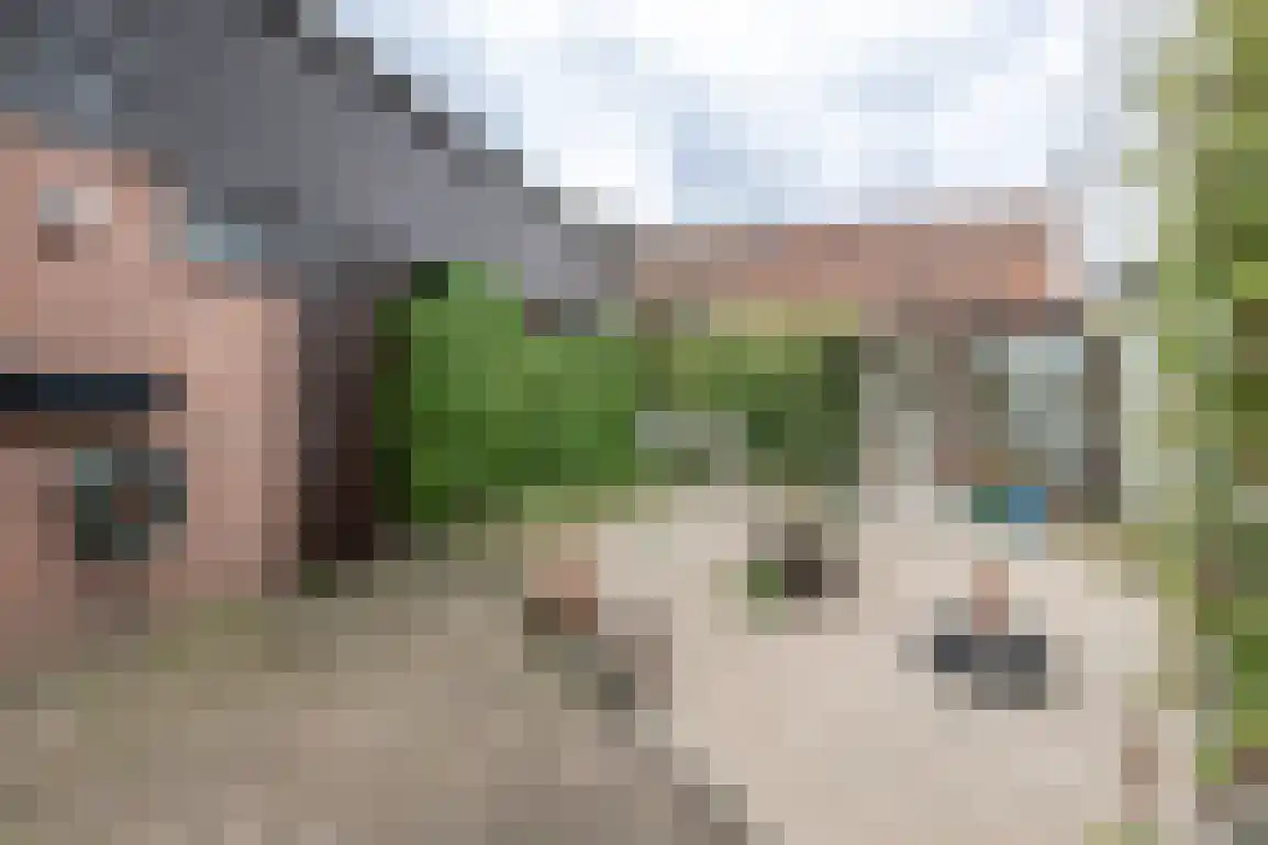 Broekweg 2 Ouddorp thumbnail 40