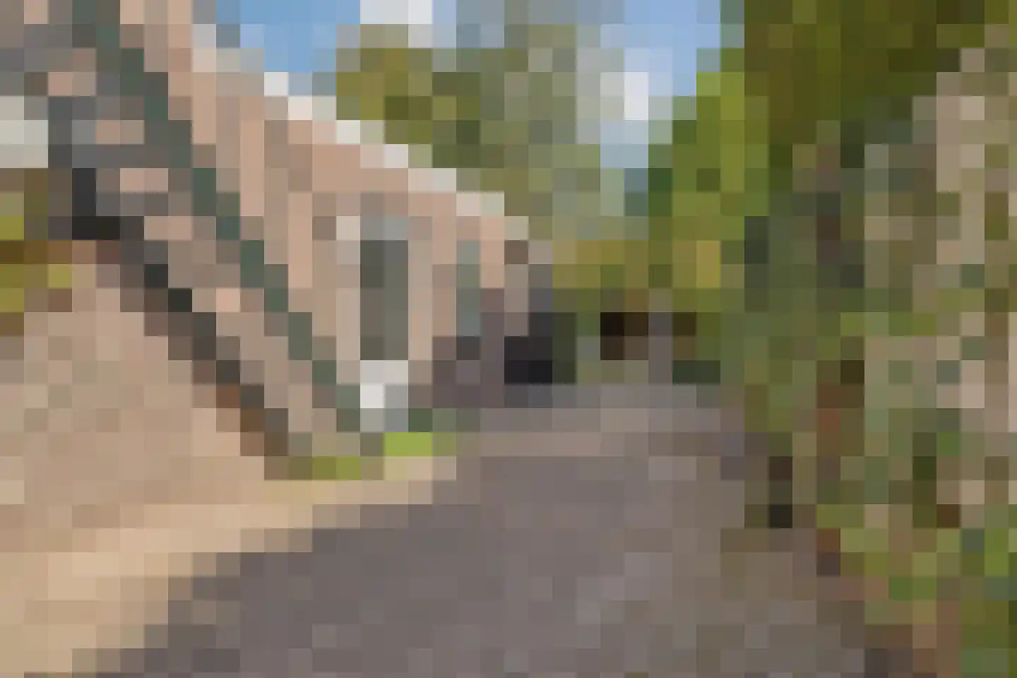 Broekweg 222 Veldhoven thumbnail 46