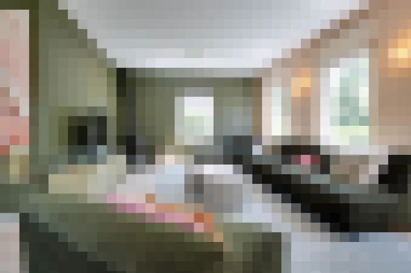Broekweg 25 a Ouddorp thumbnail 5