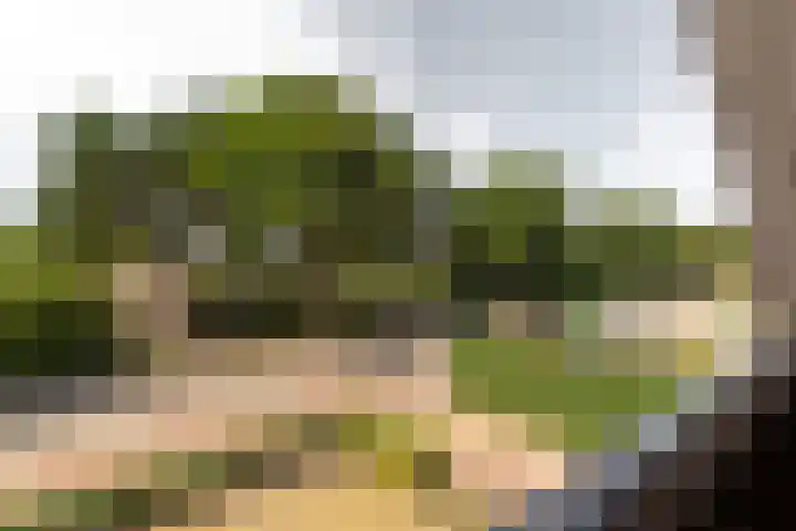 Broekweg 29 Ouddorp thumbnail 22