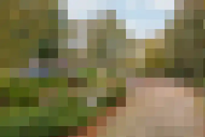 Broekweg 31 Vlaardingen thumbnail 4