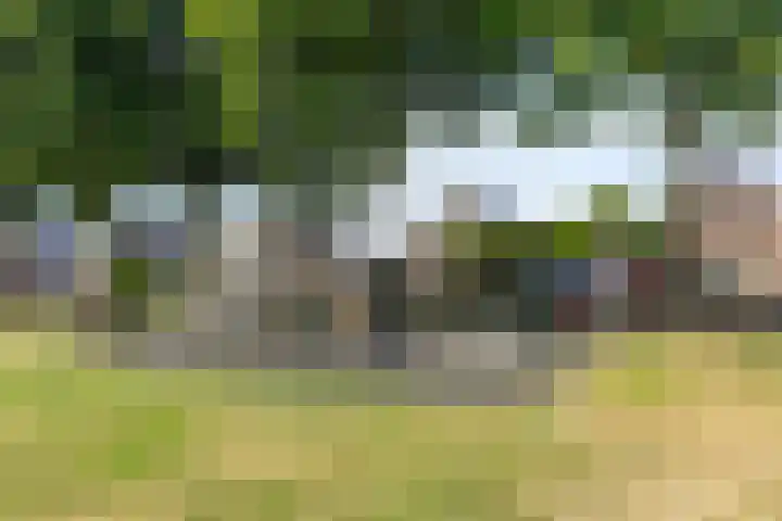 Broekweg 32 Klazienaveen thumbnail 23