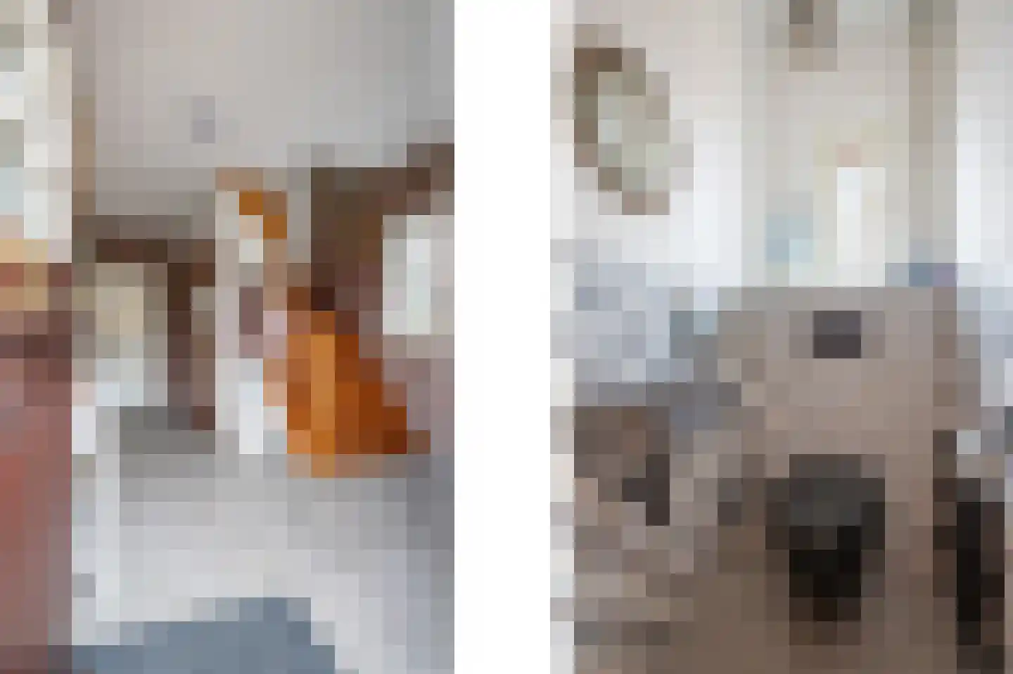 Broekweg 4 Heel thumbnail 13
