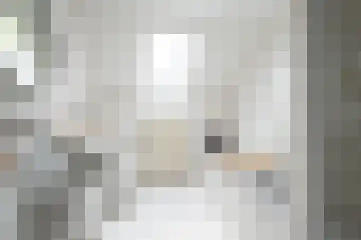 Broekweg 4 Heel thumbnail 18