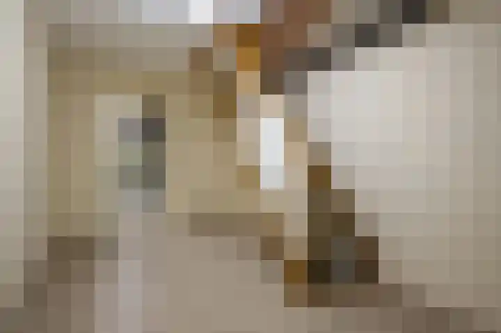 Broekweg 4 Heel thumbnail 22