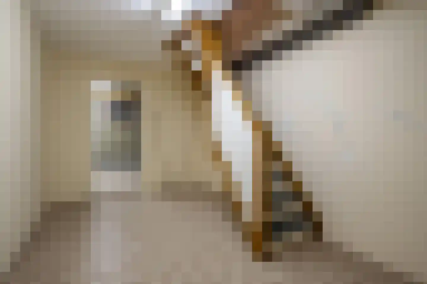 Broekweg 4 Heel thumbnail 24