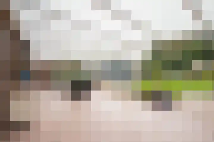 Broekweg 4 Heel thumbnail 26