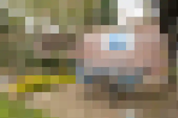 Broekweg 4 Heel thumbnail 31