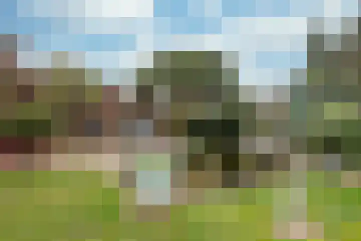 Broekweg 4 Heel thumbnail 32