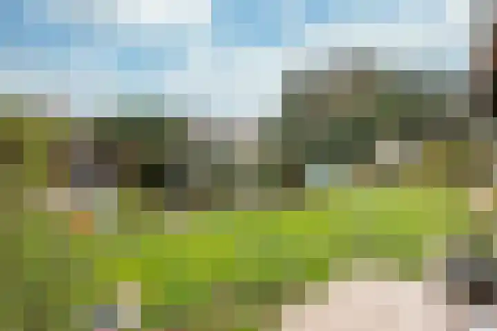Broekweg 4 Heel thumbnail 33
