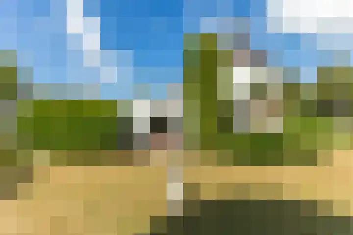 Broekweg 43 Veldhoven thumbnail 46