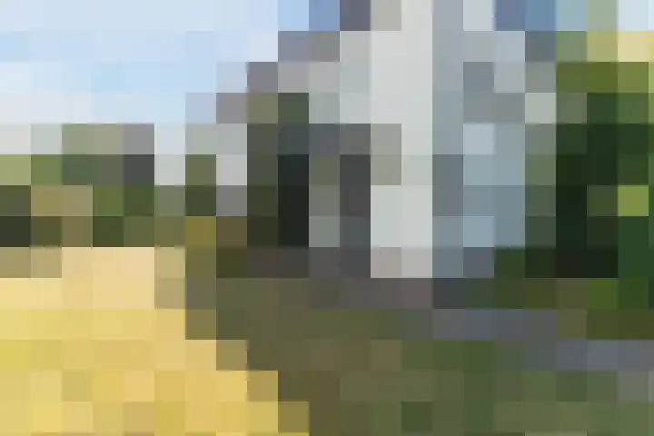 Broekweg 43 Veldhoven thumbnail 6