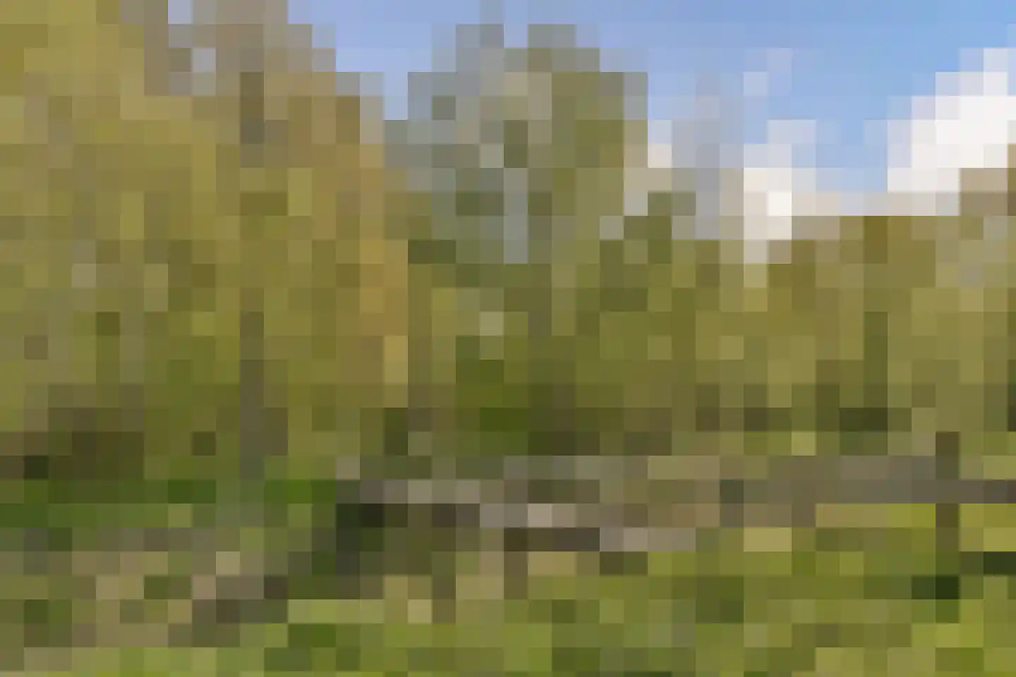 Broekweg 52 Vlaardingen thumbnail 29