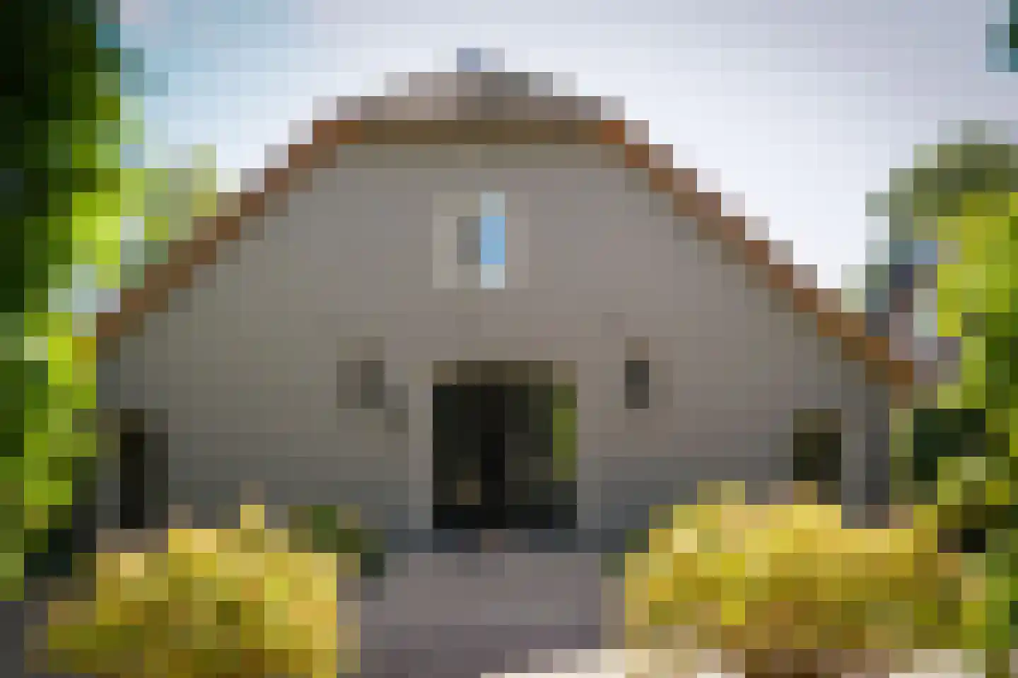 Broekweg 6 Leersum thumbnail 23