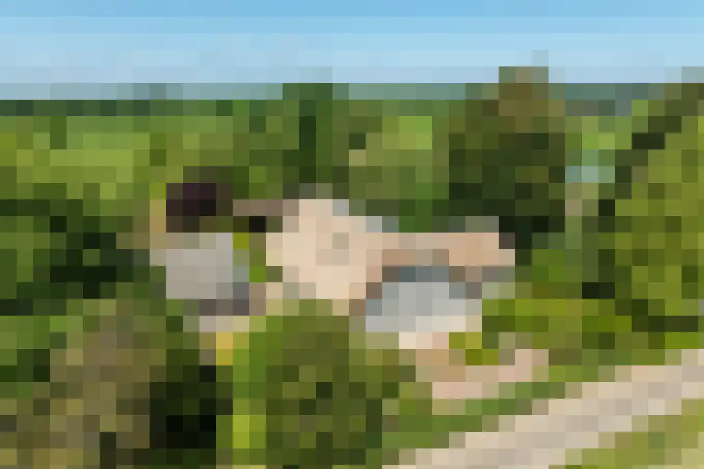 Broekweg 6 Leersum thumbnail 4
