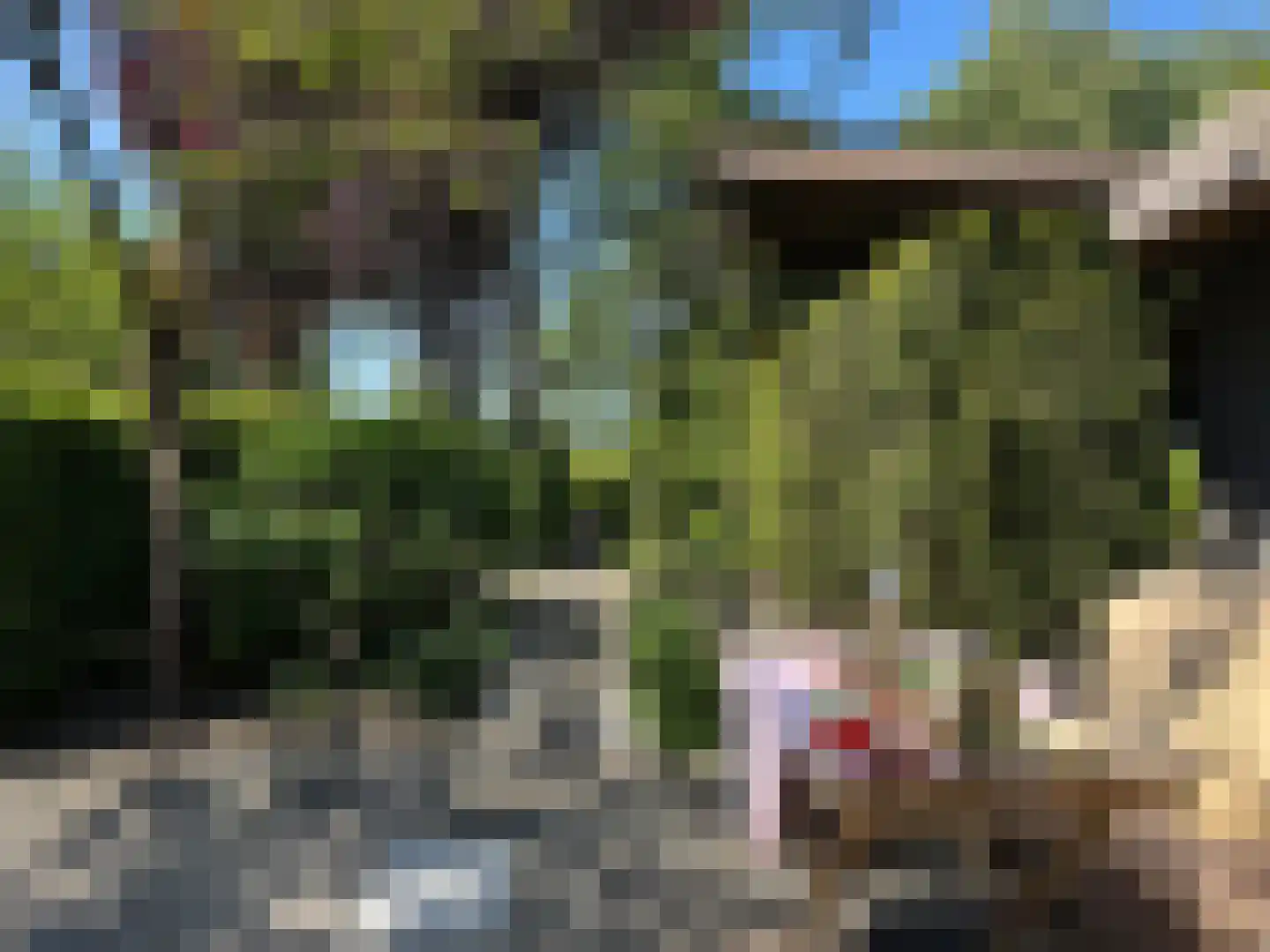 Broekweg 6 Leersum thumbnail 45