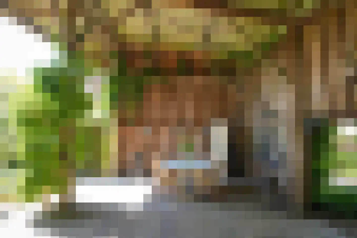 Broekweg 6 Leersum thumbnail 48