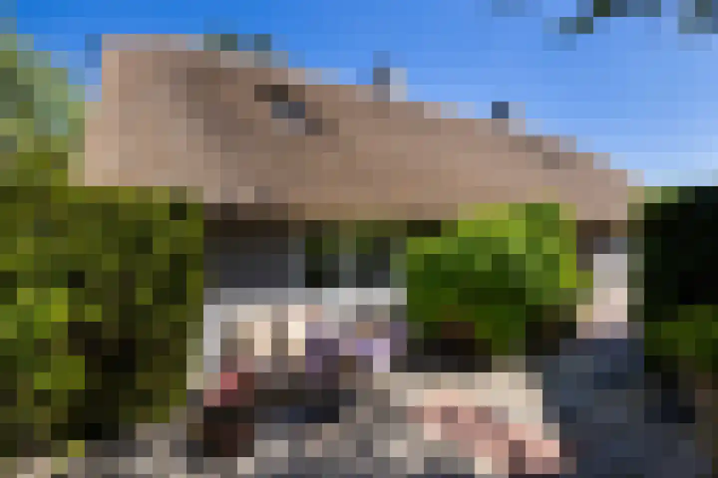Broekweg 6 Leersum thumbnail 5
