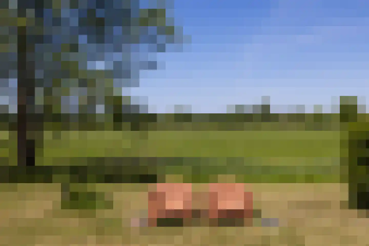 Broekweg 6 Leersum thumbnail 50