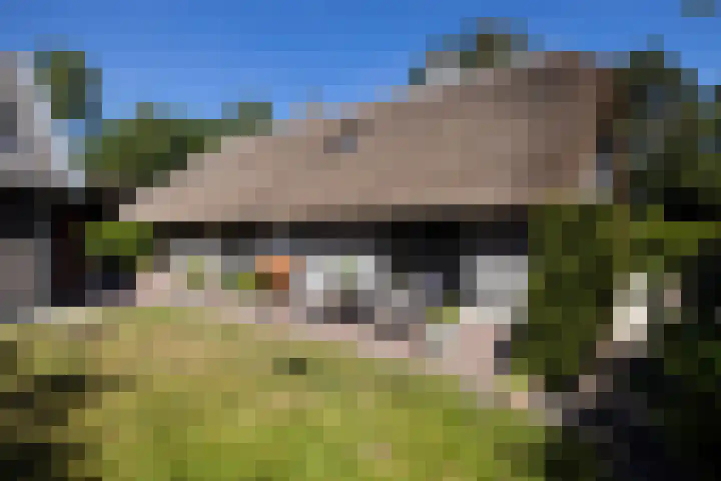 Broekweg 6 Leersum thumbnail 9