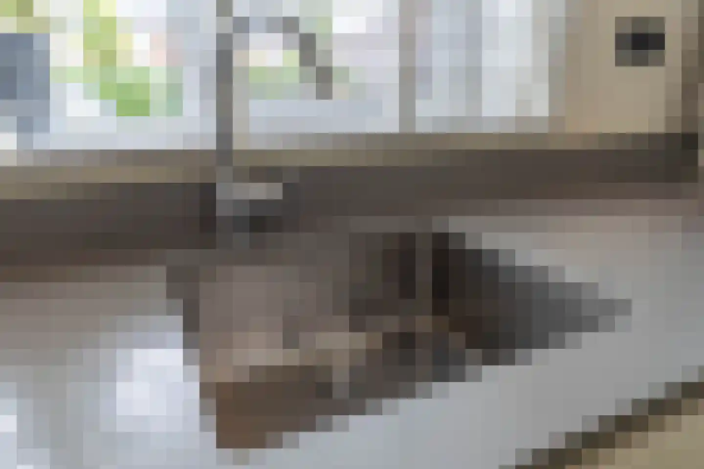 Broekweg 61 Venray thumbnail 32