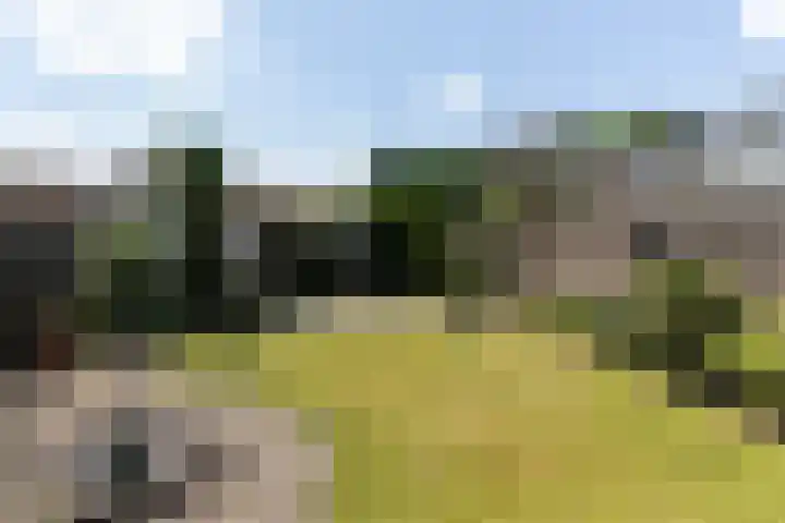 Broekweg 67 Veldhoven thumbnail 32
