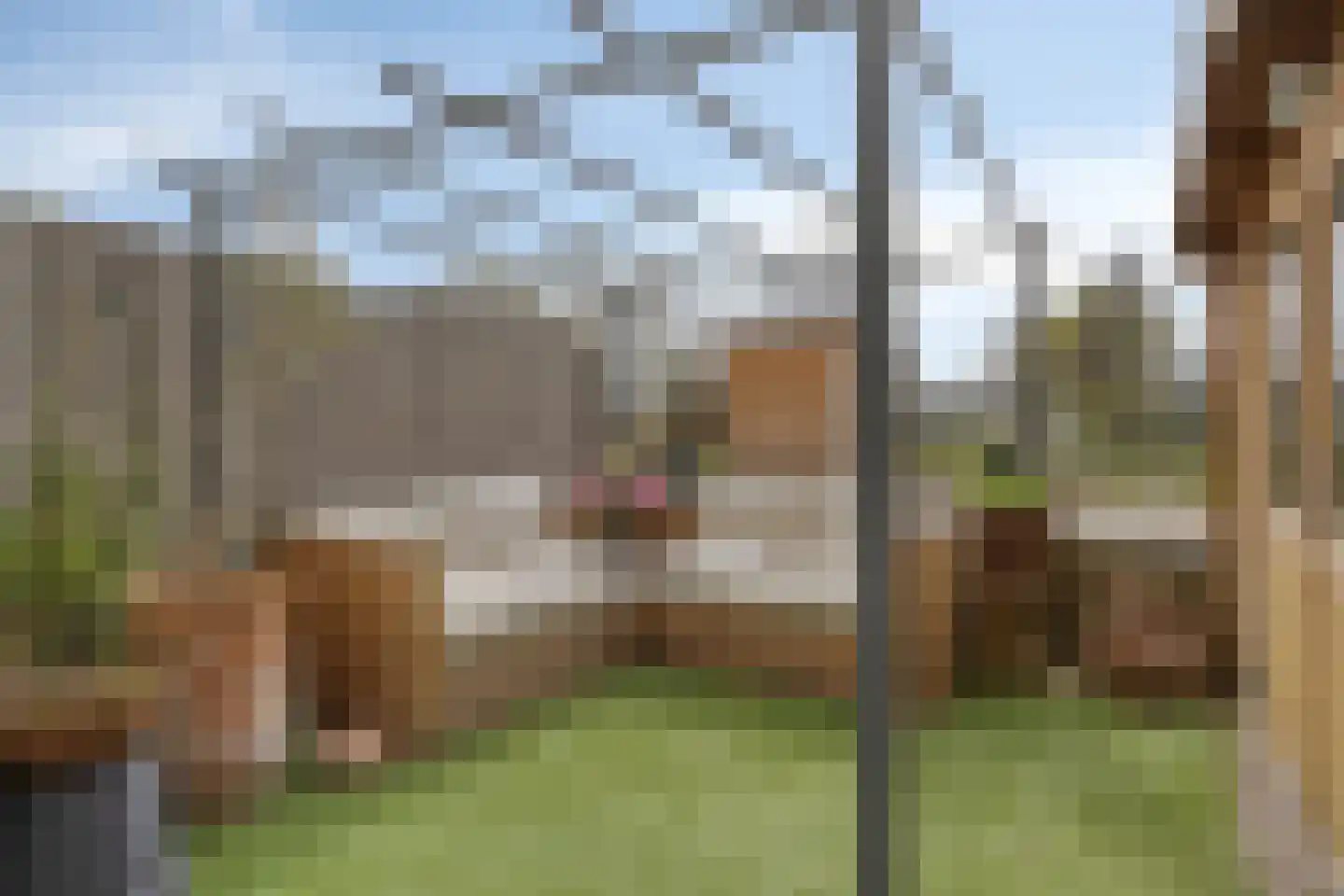 Broekweg 72 Leidschendam thumbnail 27