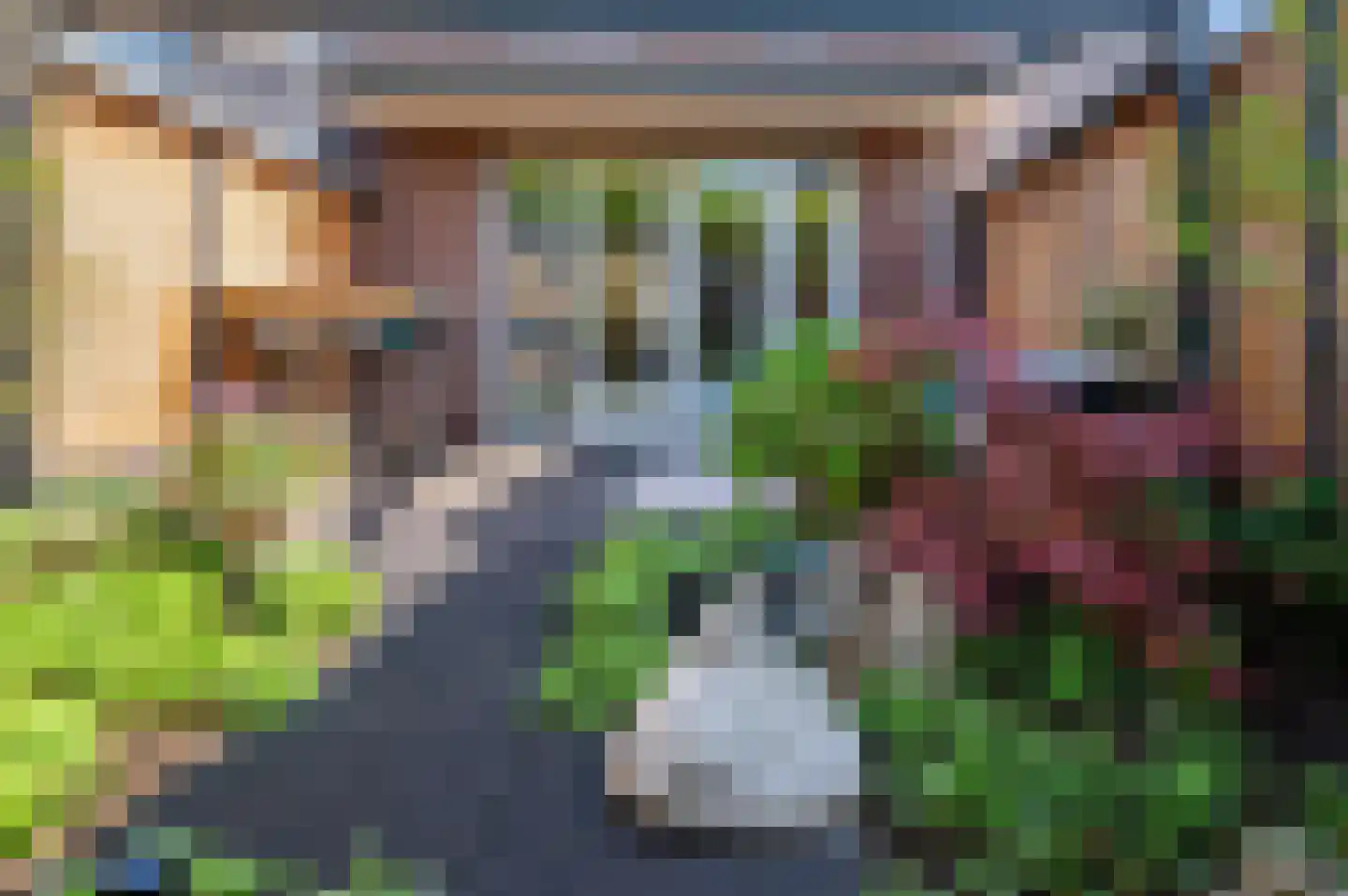 Broekweg 73 Venray thumbnail 42