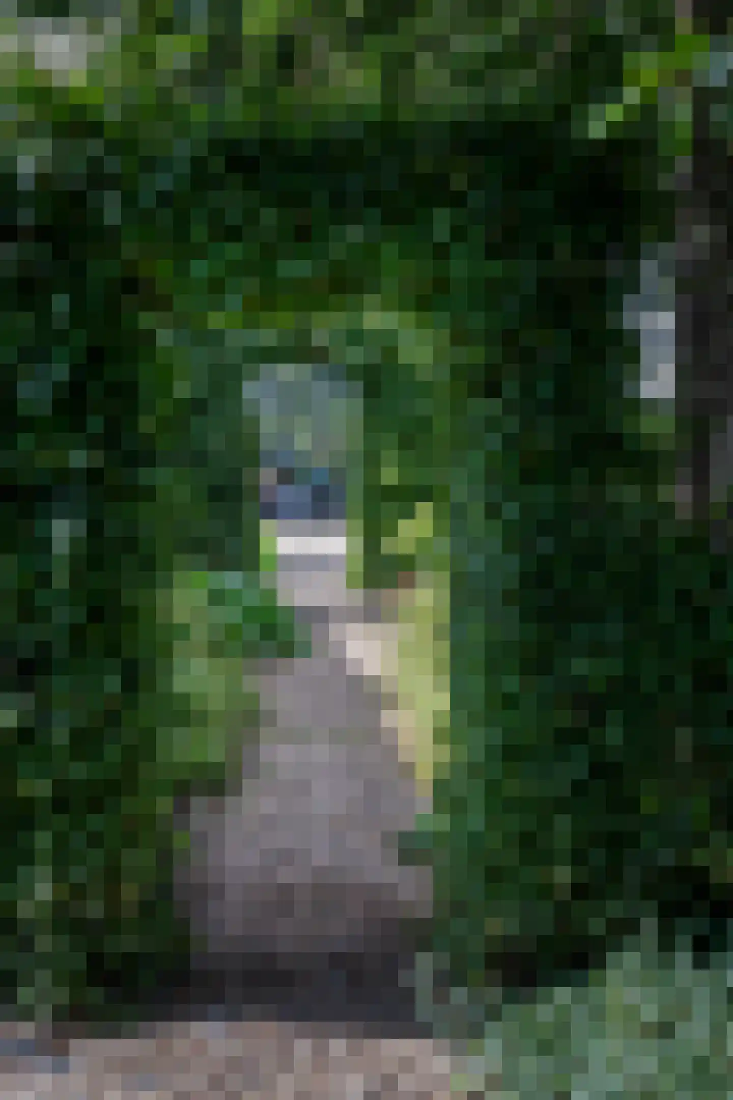 Broekwegkade 17 Zoetermeer thumbnail 100
