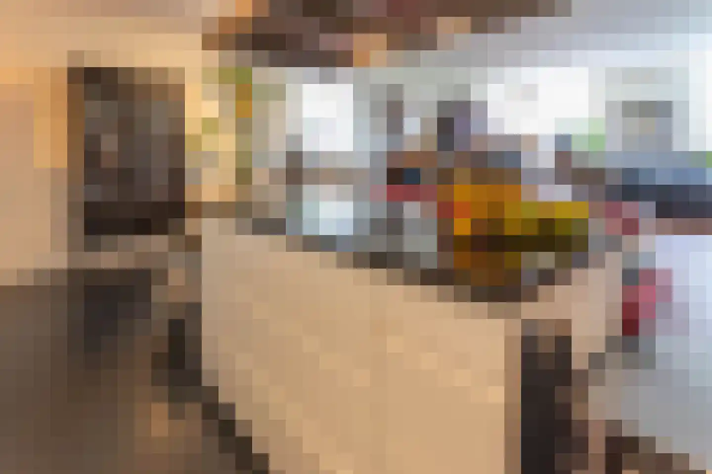 Broekwegkade 17 Zoetermeer thumbnail 20