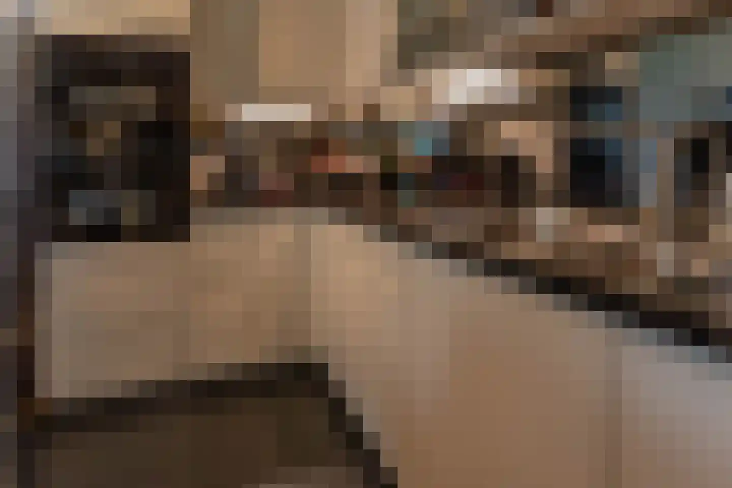 Broekwegkade 17 Zoetermeer thumbnail 23