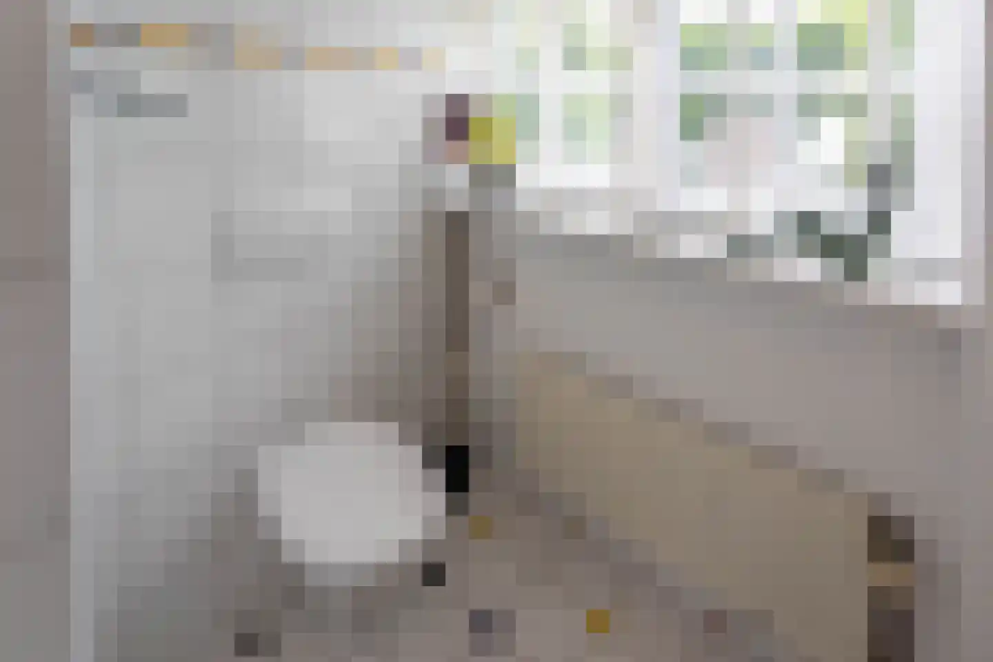 Broekwegkade 17 Zoetermeer thumbnail 47