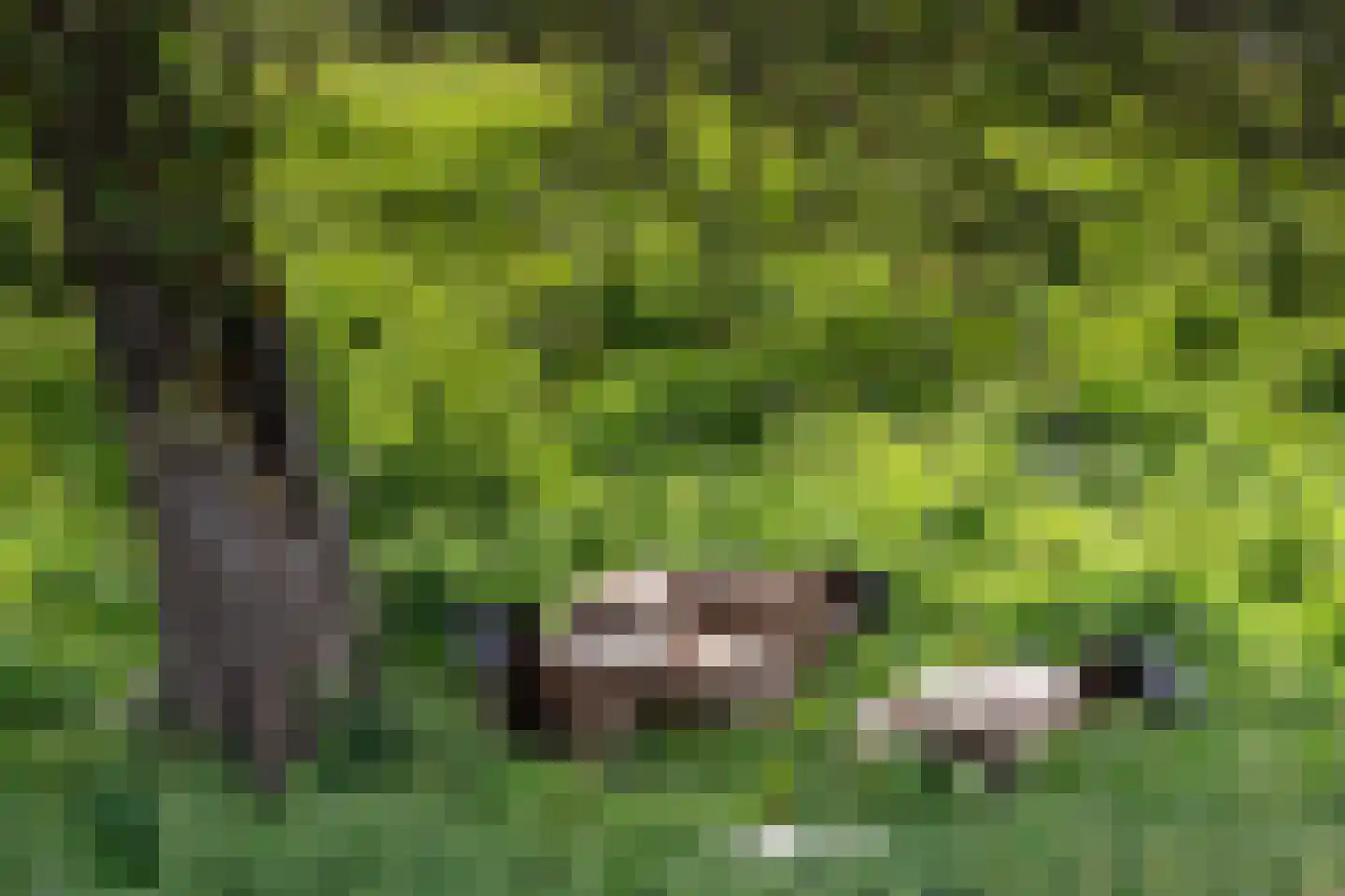 Broekwegkade 17 Zoetermeer thumbnail 58
