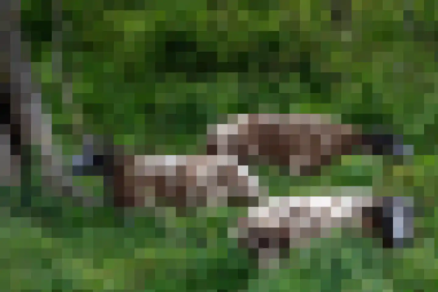 Broekwegkade 17 Zoetermeer thumbnail 59