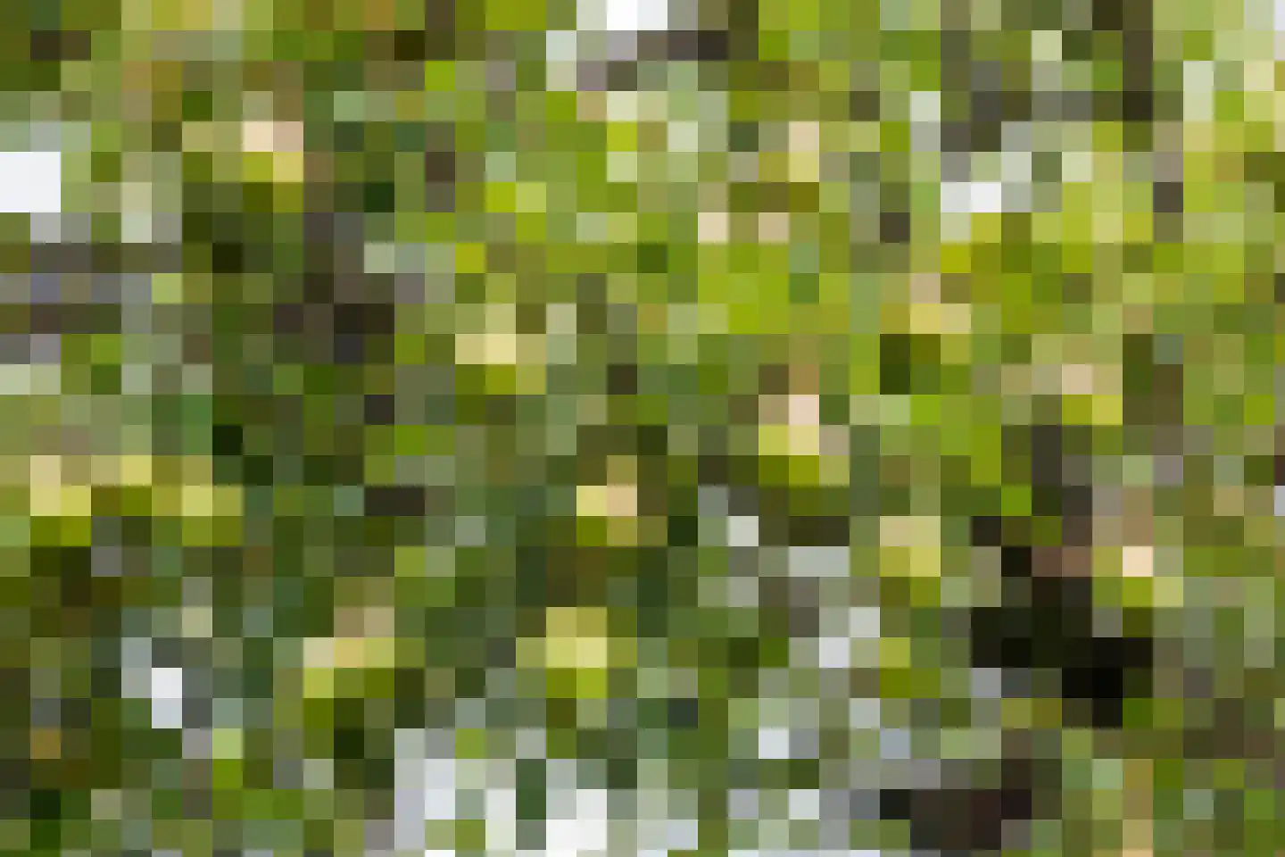 Broekwegkade 17 Zoetermeer thumbnail 62