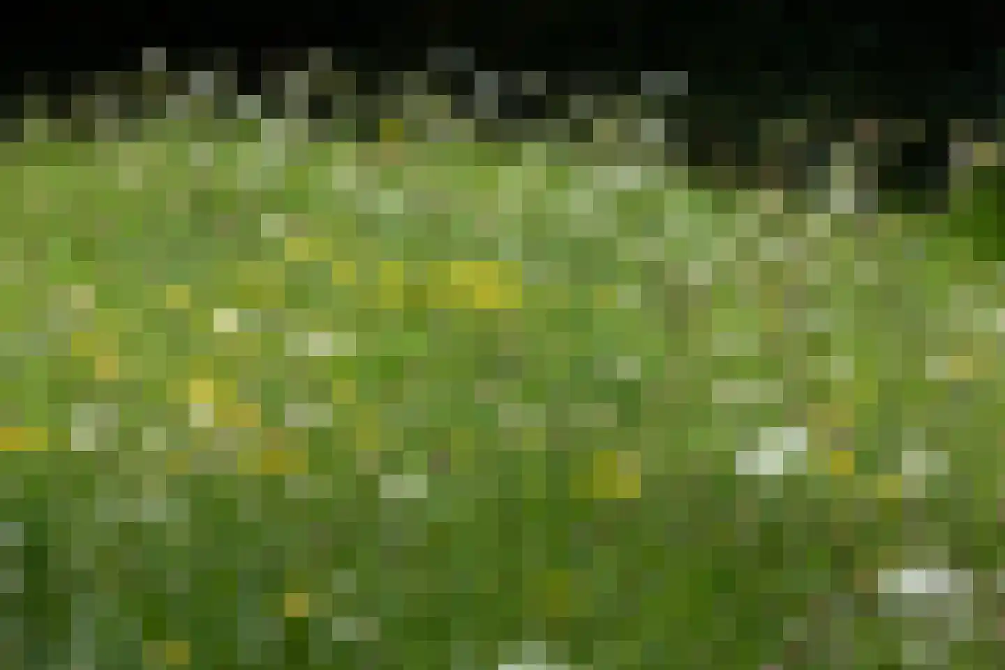 Broekwegkade 17 Zoetermeer thumbnail 68