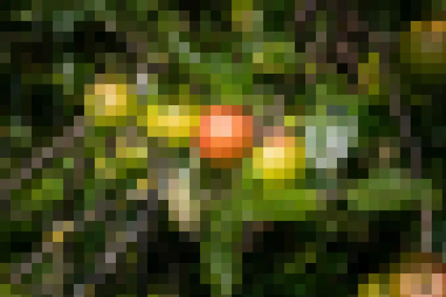 Broekwegkade 17 Zoetermeer thumbnail 76