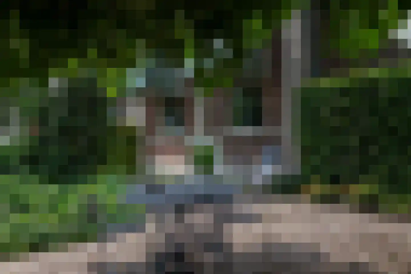 Broekwegkade 17 Zoetermeer thumbnail 99