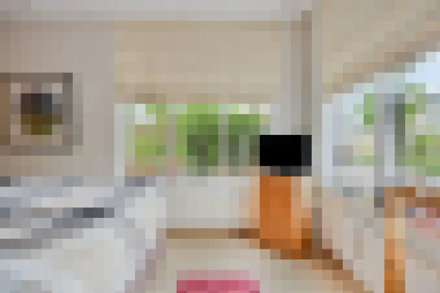 Broekwegkade 215 Zoetermeer thumbnail 11