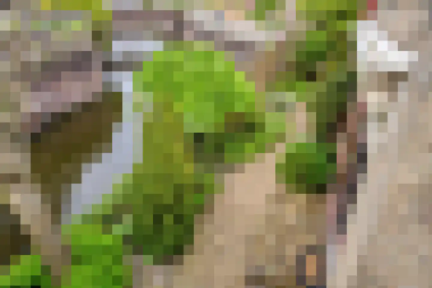 Broekwegkade 215 Zoetermeer thumbnail 13