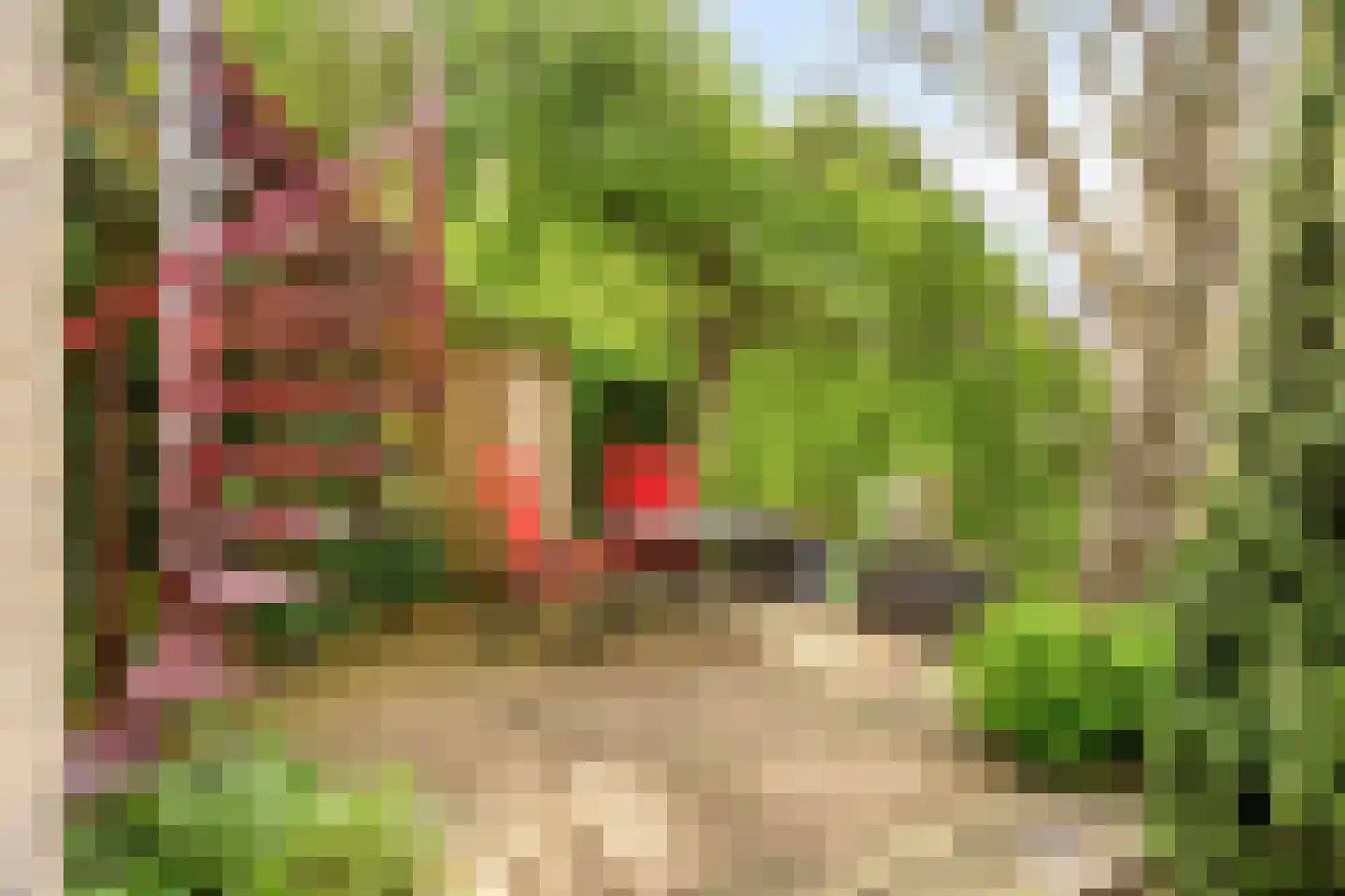Broekwegkade 215 Zoetermeer thumbnail 16