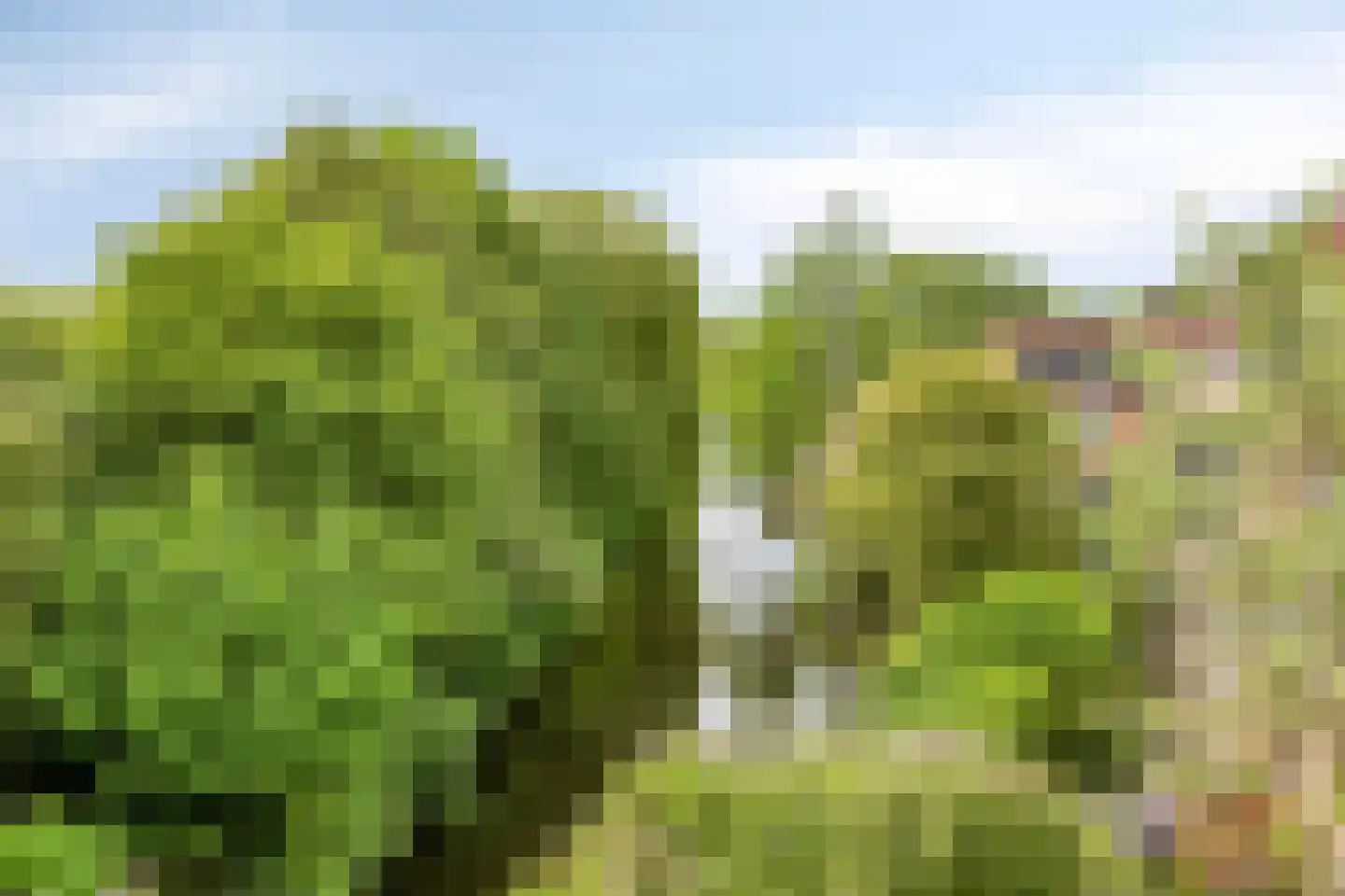 Broekwegkade 215 Zoetermeer thumbnail 28