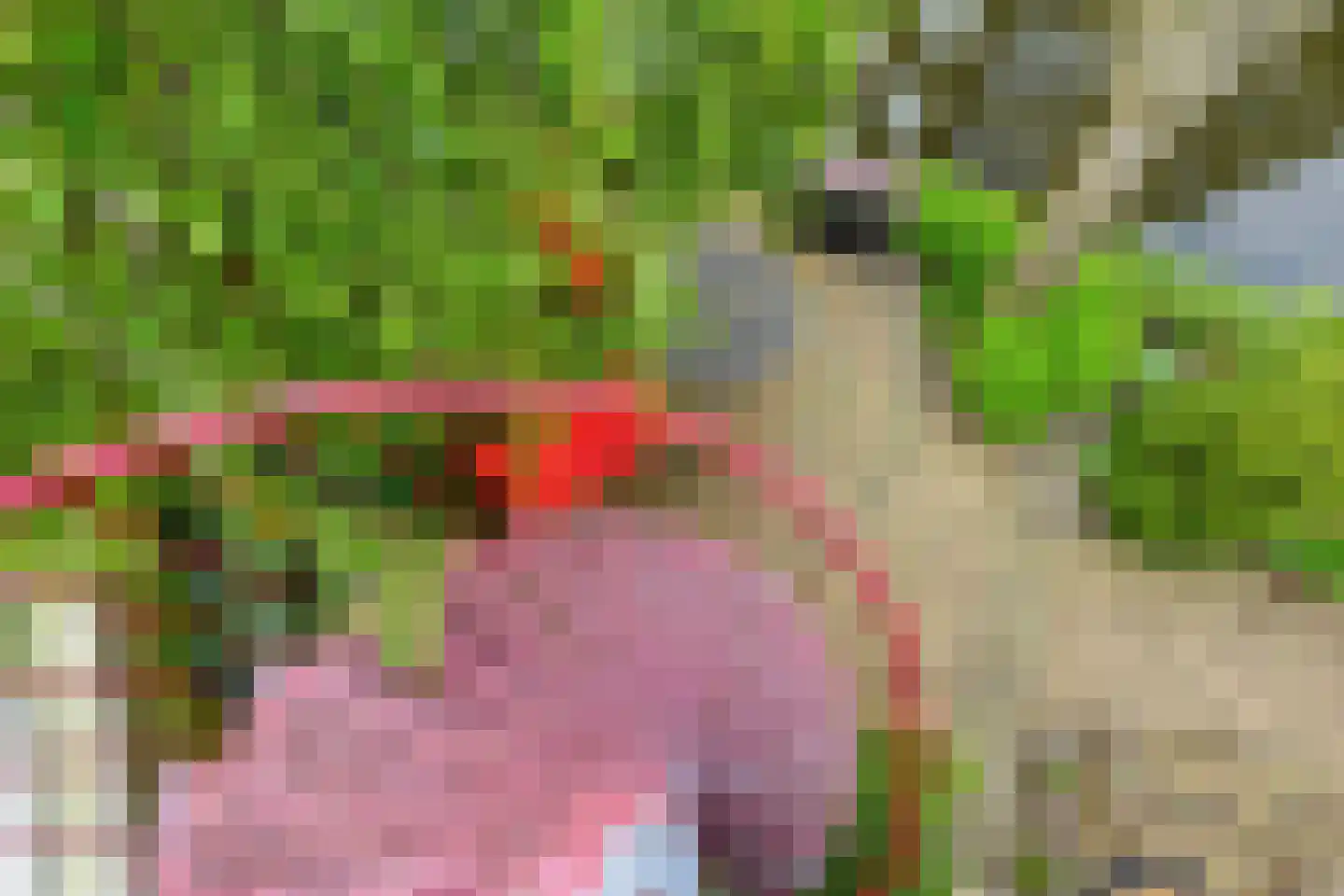 Broekwegkade 215 Zoetermeer thumbnail 30