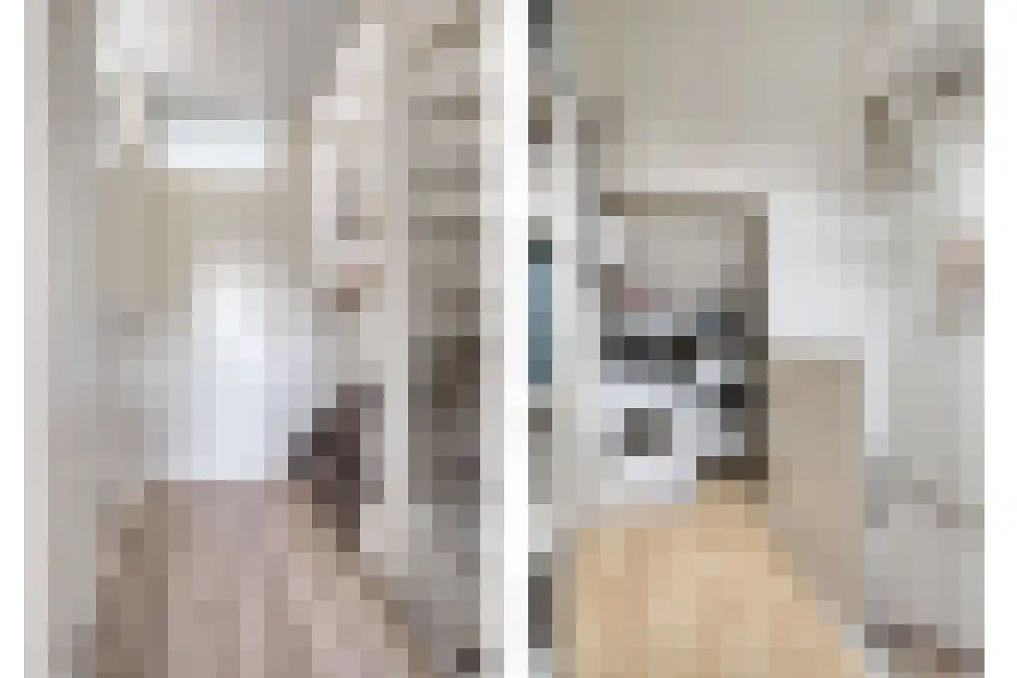 Broekwegkade 215 Zoetermeer thumbnail 31