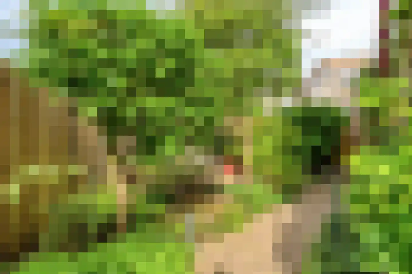 Broekwegkade 215 Zoetermeer thumbnail 39