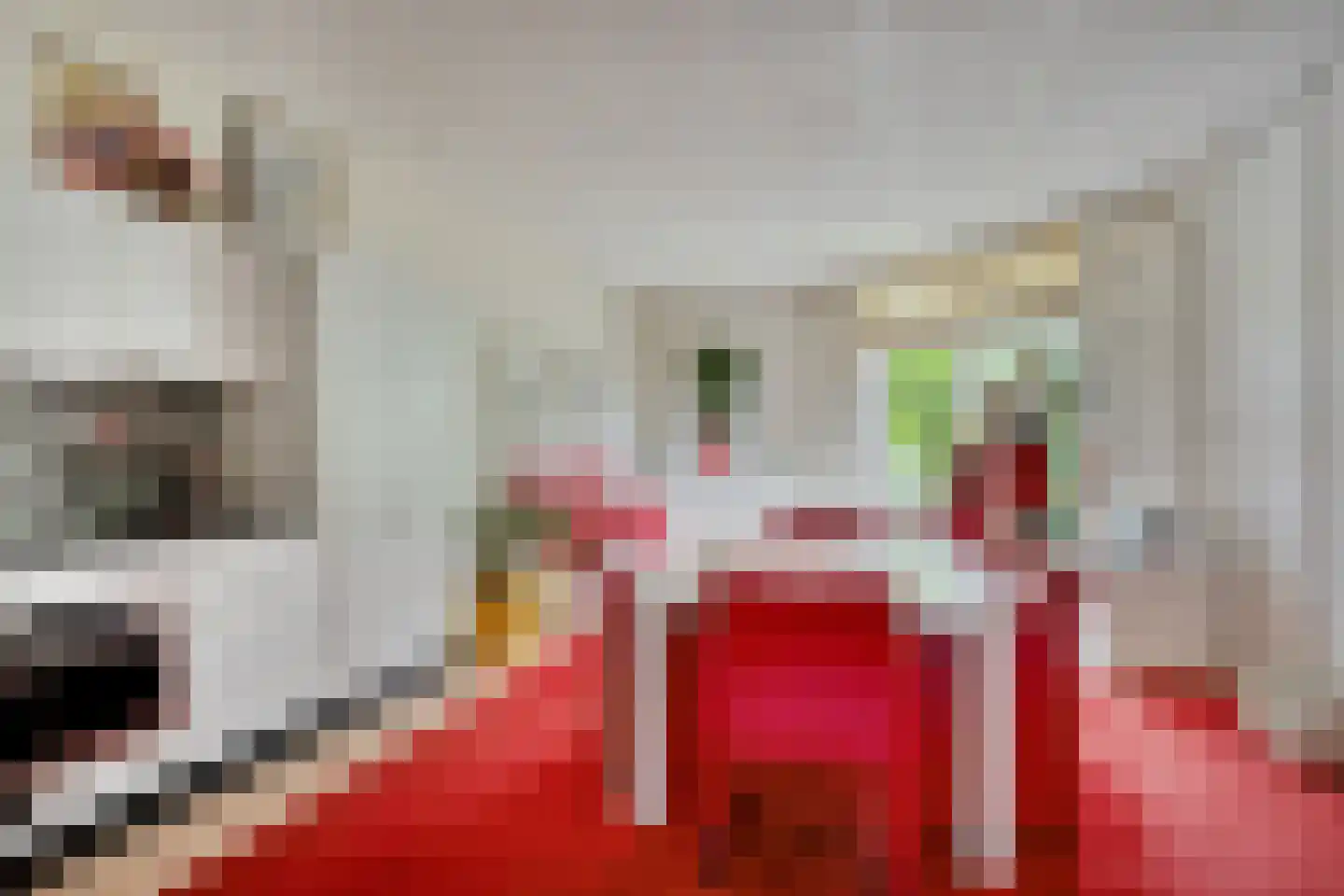 Broekwegkade 215 Zoetermeer thumbnail 4