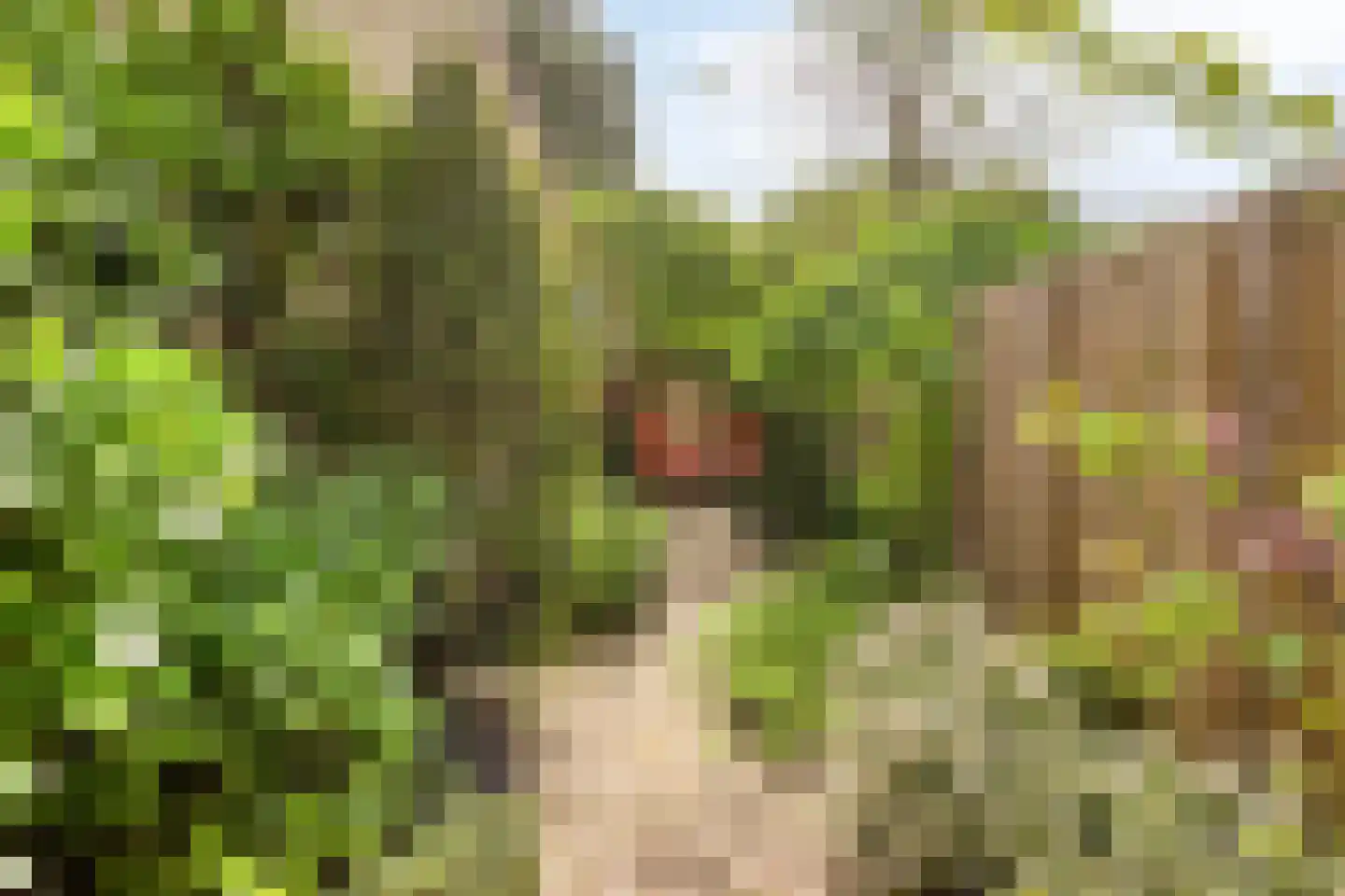 Broekwegkade 215 Zoetermeer thumbnail 40