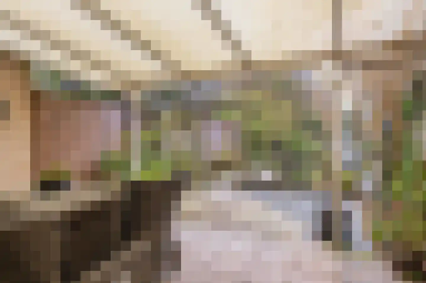 Broekwegkade 217 Zoetermeer thumbnail 16